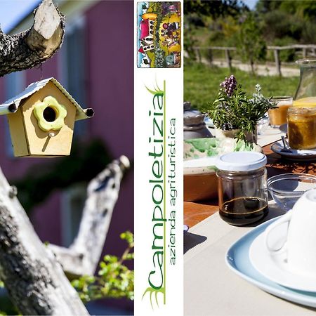 Agriturismo Campoletizia 미글리아니코 외부 사진