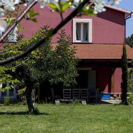 Agriturismo Campoletizia 미글리아니코 외부 사진