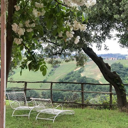 Agriturismo Campoletizia 미글리아니코 외부 사진