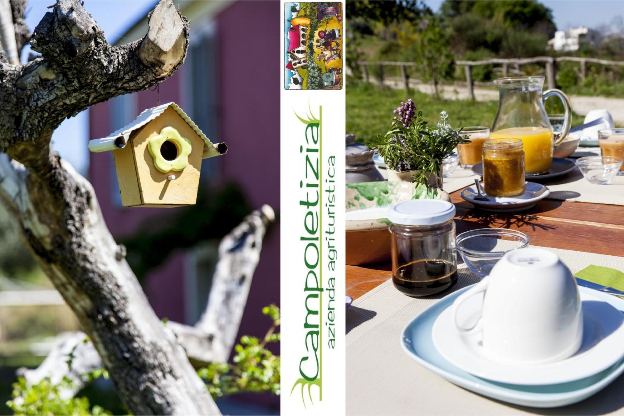 Agriturismo Campoletizia 미글리아니코 외부 사진