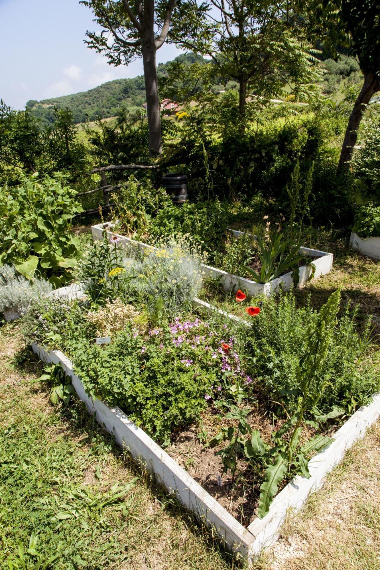 Agriturismo Campoletizia 미글리아니코 외부 사진