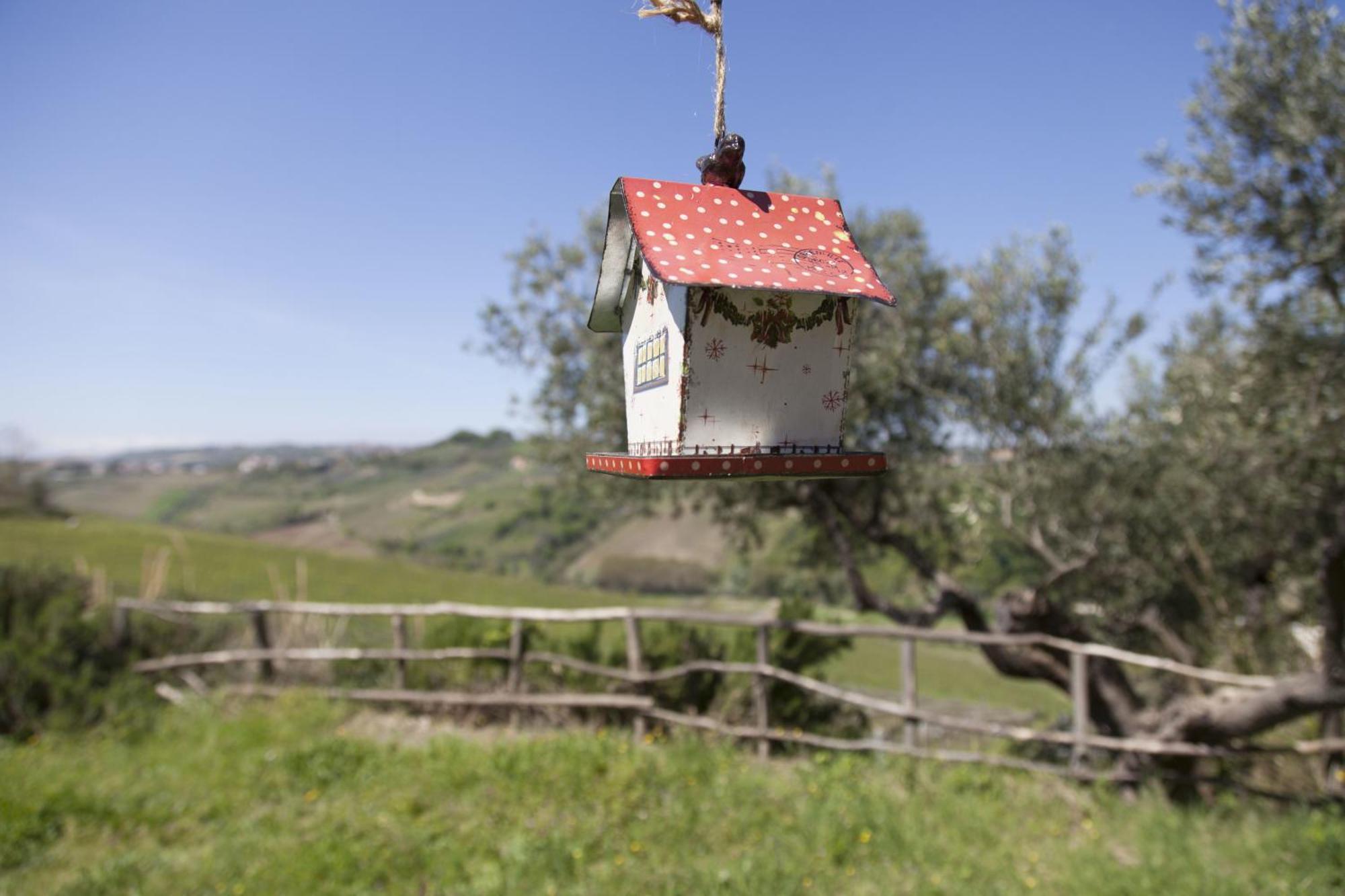 Agriturismo Campoletizia 미글리아니코 외부 사진