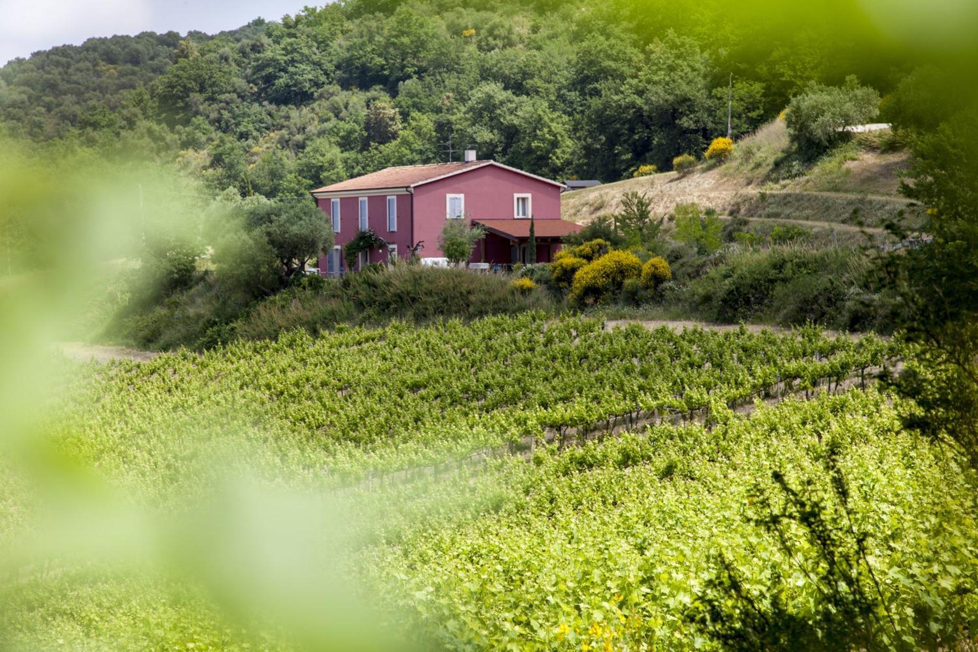 Agriturismo Campoletizia 미글리아니코 외부 사진