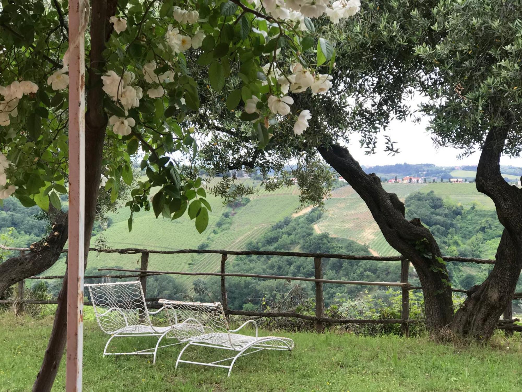 Agriturismo Campoletizia 미글리아니코 외부 사진