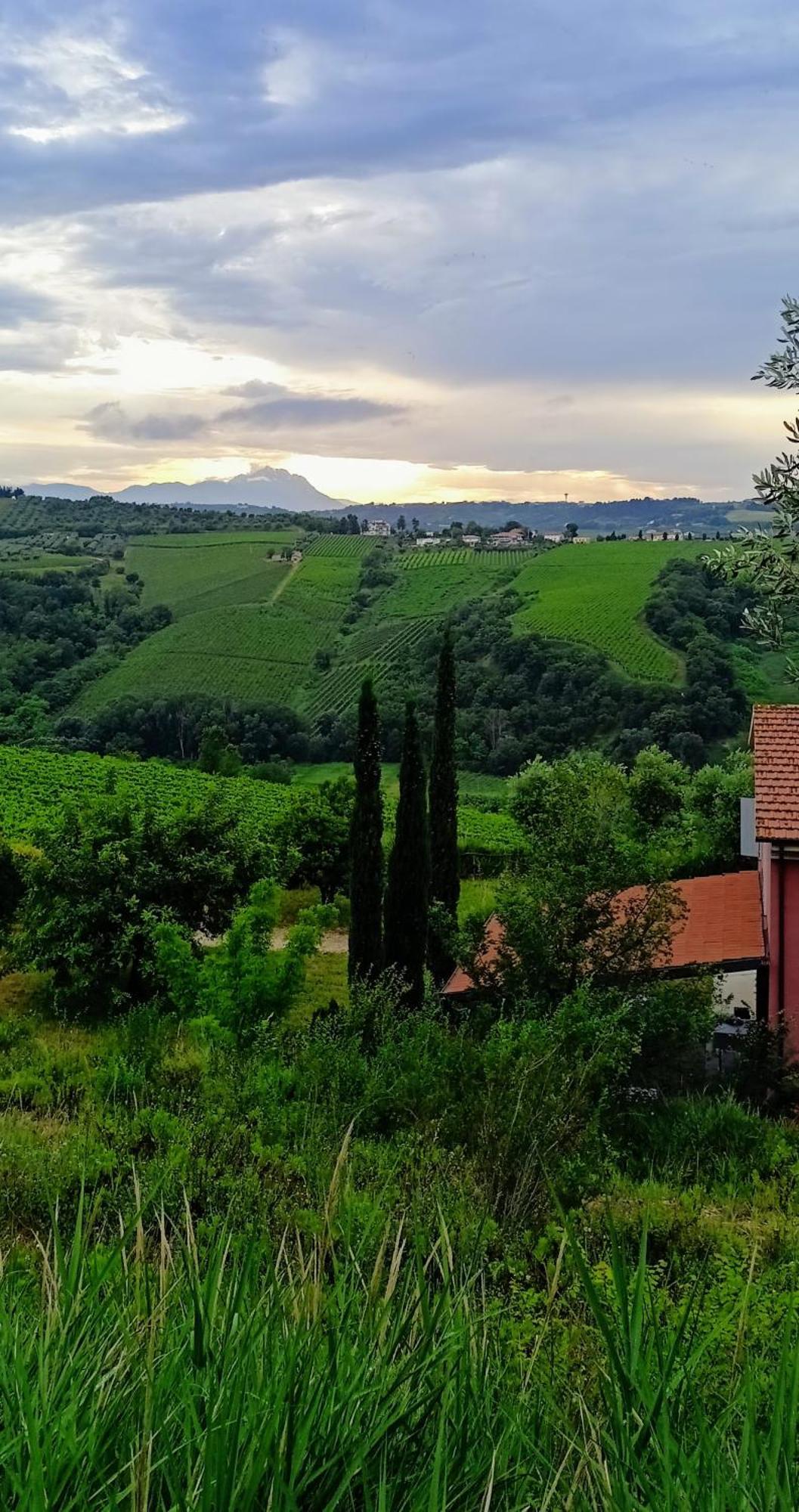 Agriturismo Campoletizia 미글리아니코 외부 사진