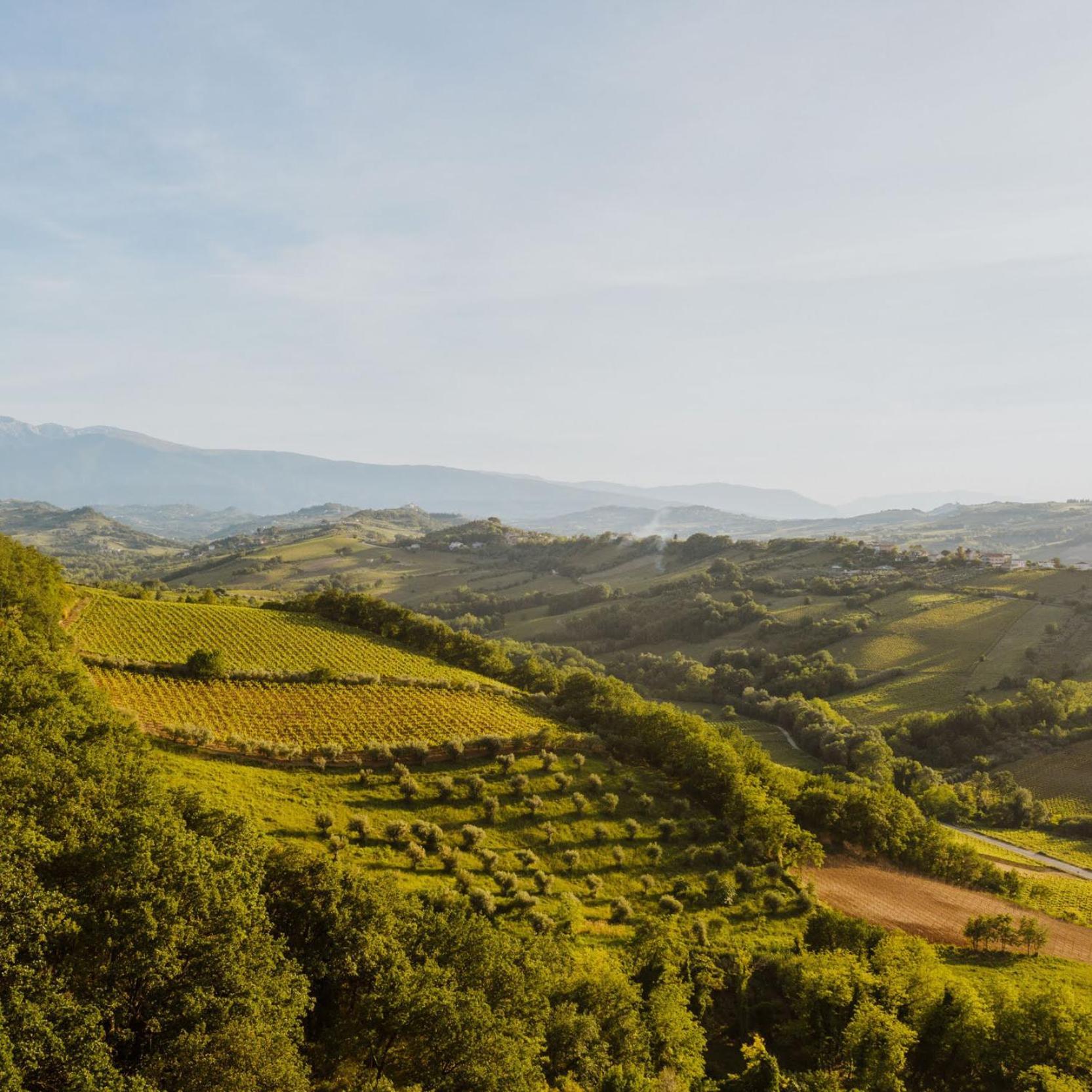 Agriturismo Campoletizia 미글리아니코 외부 사진