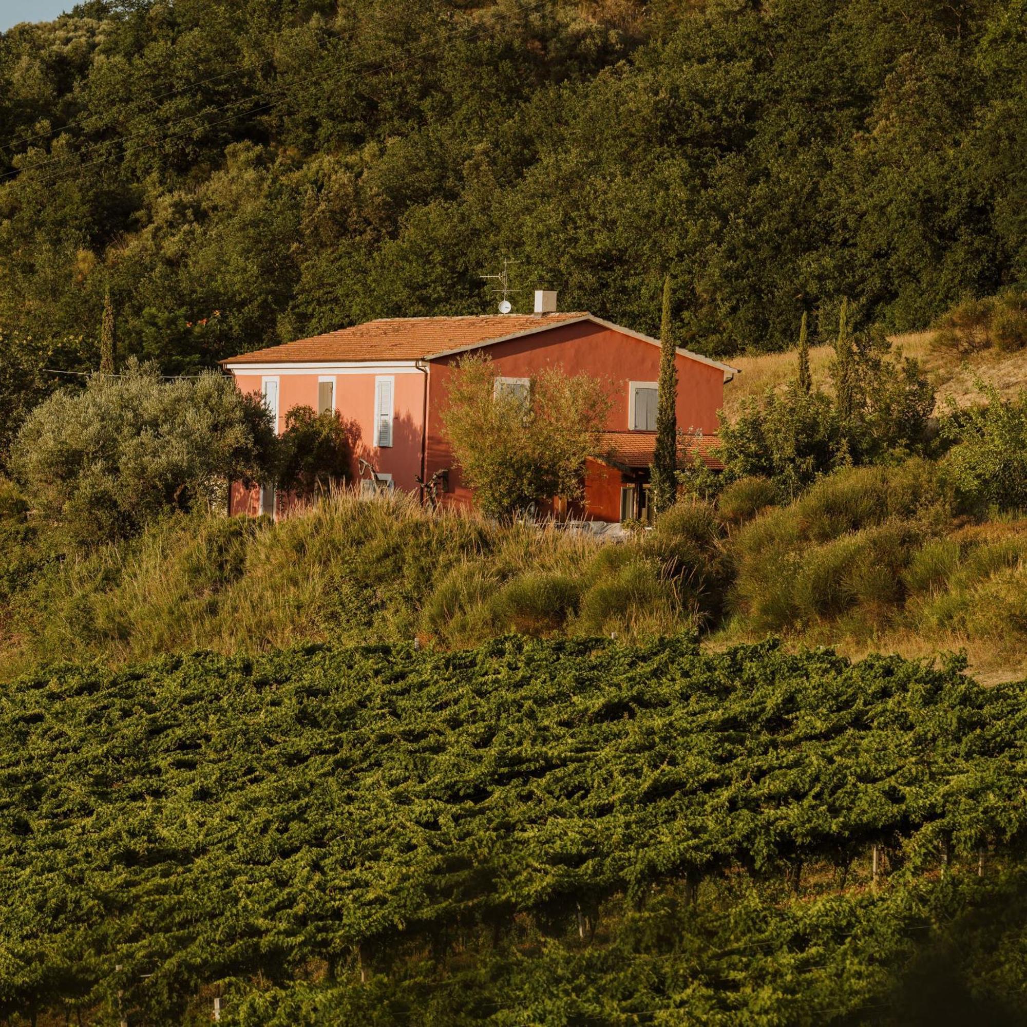 Agriturismo Campoletizia 미글리아니코 외부 사진