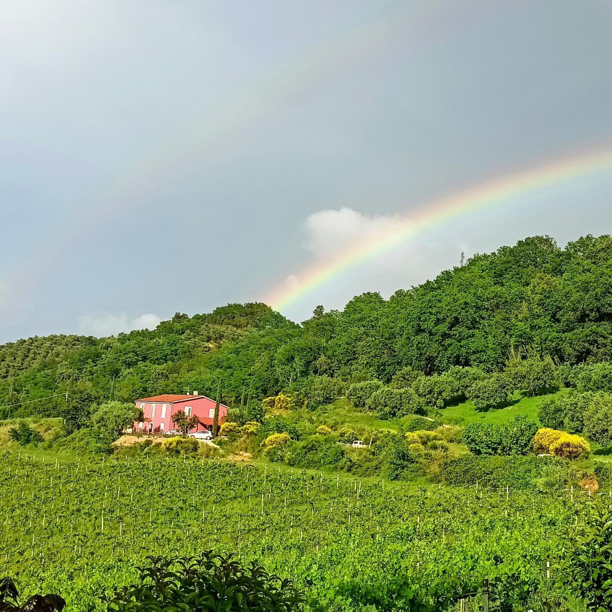 Agriturismo Campoletizia 미글리아니코 외부 사진