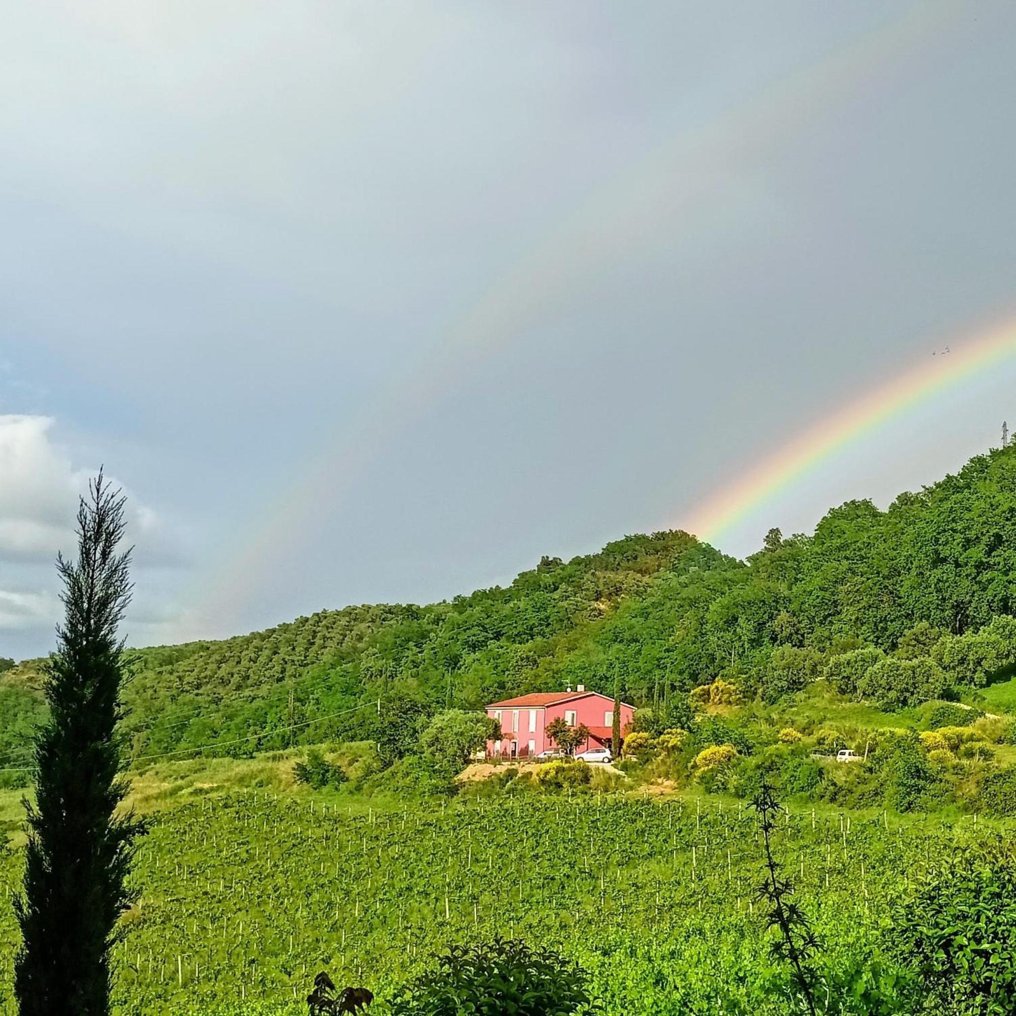 Agriturismo Campoletizia 미글리아니코 외부 사진